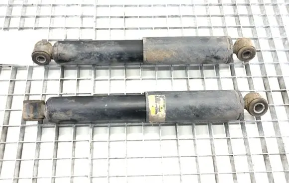 Citroen Jumper Rear shock absorber/damper