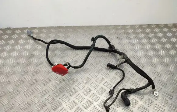 Citroen C4 II Picasso Positive cable (battery)