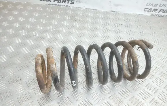 Hyundai Trajet Rear coil spring