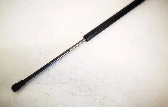 Tailgate/trunk strut/damper