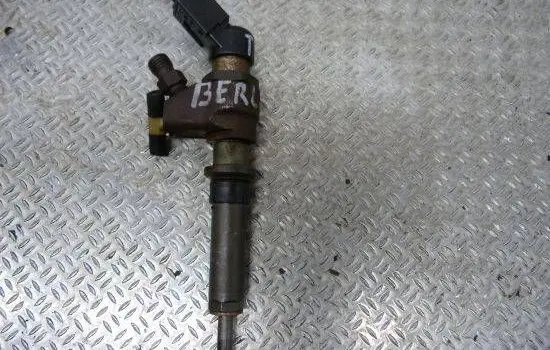 Citroen Berlingo Fuel injector 9636819380
