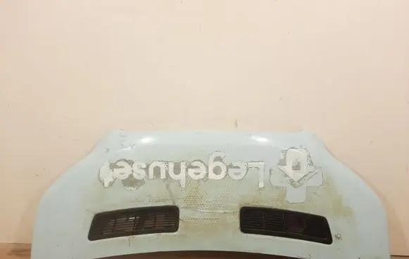 Engine bonnet/hood