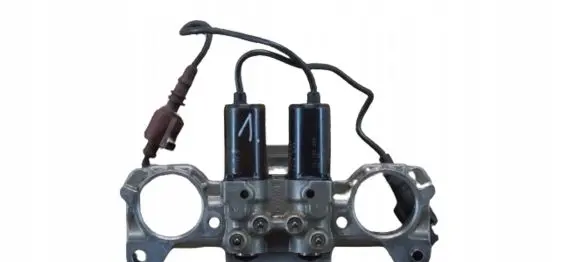 Volkswagen Phaeton Camshaft vanos timing valve 07C109204E