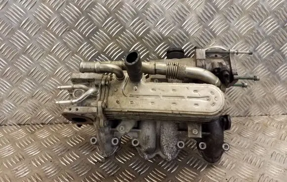 Skoda Octavia Mk2 (1Z) EGR valve cooler 038131513AD 03G129713