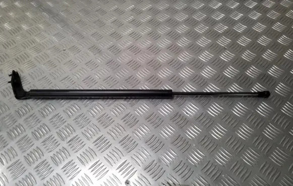 Tailgate strut