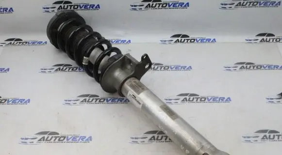 BMW M5 Front shock absorber with coil spring 2284045