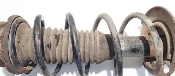 Front coil spring