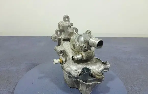 Renault Arkana Water pump 2051J140204