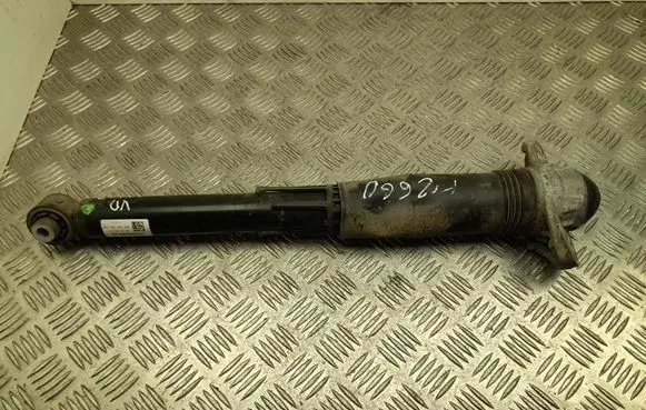 Volkswagen ID.3 Rear shock absorber/damper 1EA512011AH
