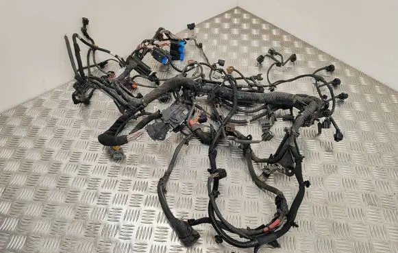 Renault Espace V (RFC) Engine installation wiring loom 240114320R 0A0300 51116