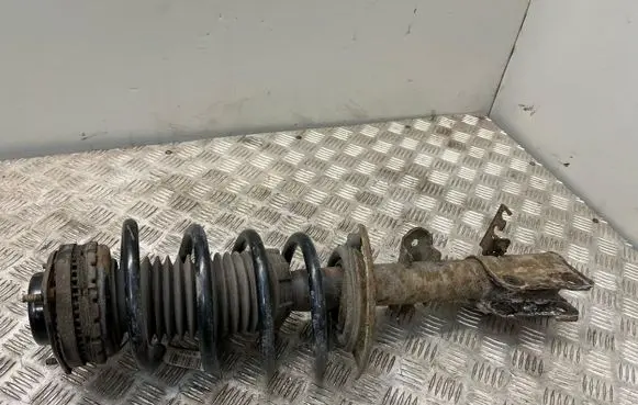 Chrysler Grand Voyager V Front shock absorber with coil spring