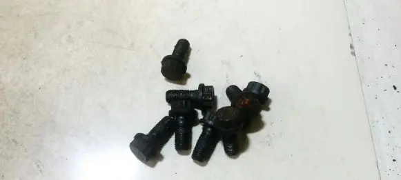 Nuts/bolts