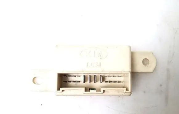 KIA Sorento Other control units/modules 