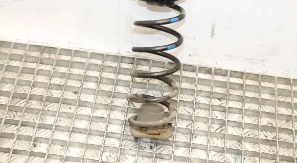 Honda Civic Rear coil spring