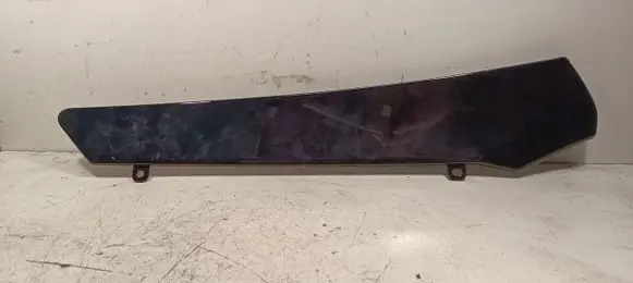 Other front door trim element
