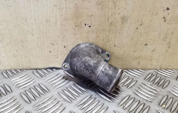 Thermostat/thermostat housing