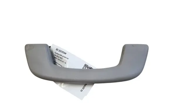 BMW 1 F20 F21 Front interior roof grab handle 06620513