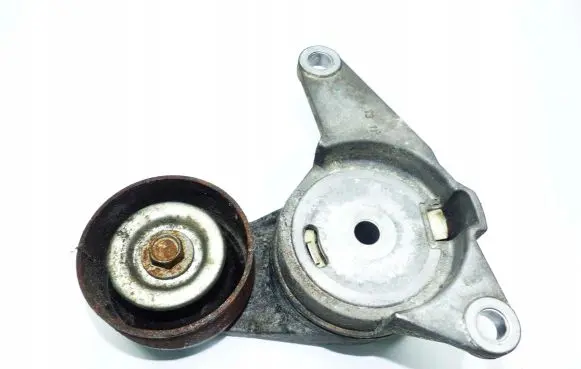 Chevrolet Captiva Generator/alternator belt tensioner 12626644