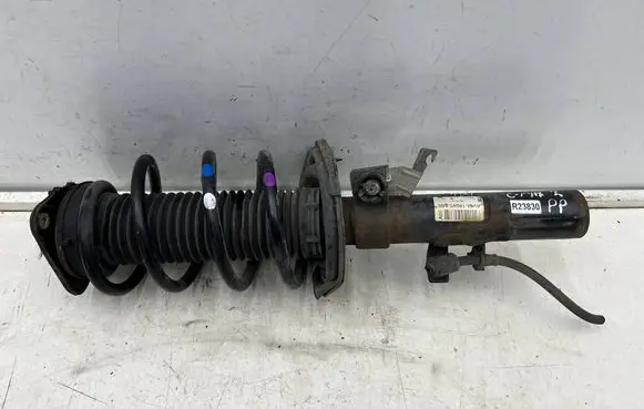 Ford C-MAX II Front shock absorber with coil spring AV6118045ABE