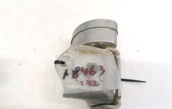 Rear door lower hinge
