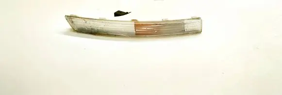 Volkswagen PASSAT B6 Front indicator light 3C0953042L