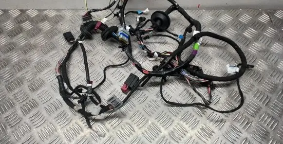 Front door wiring loom
