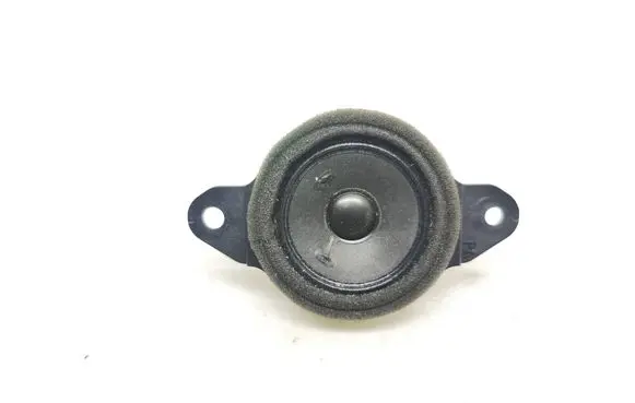 Panel speaker