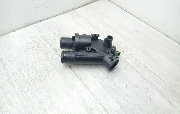 Thermostat/thermostat housing