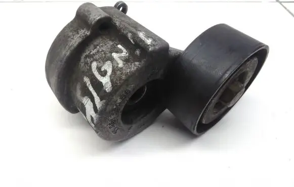 Opel Insignia A Generator/alternator belt tensioner 55561330BB