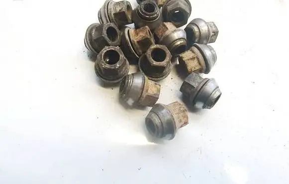 Nuts/bolts