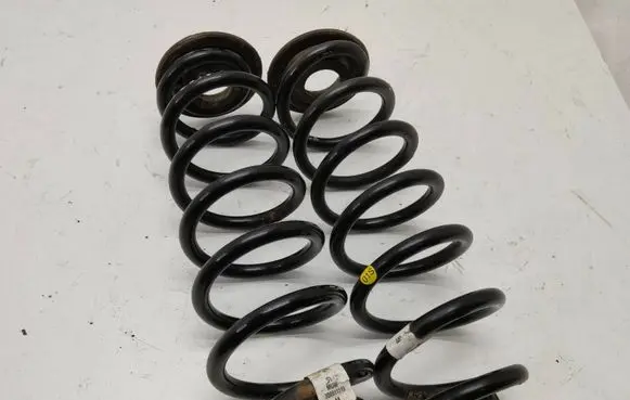 Rear coil spring
