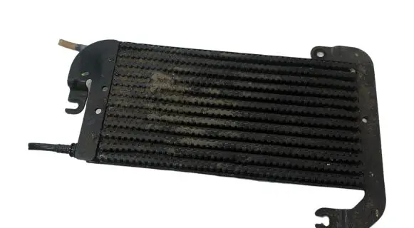 Opel Vivaro Fuel cooler (radiator) 175104049R 93368458 74001