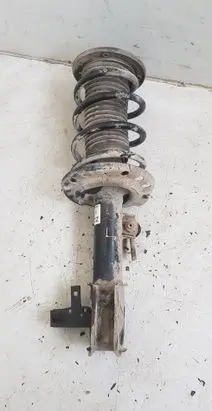 Opel Signum Front shock absorber with coil spring 13214377
