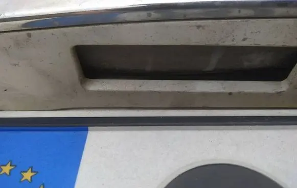 Lexus RX 300 Number plate light