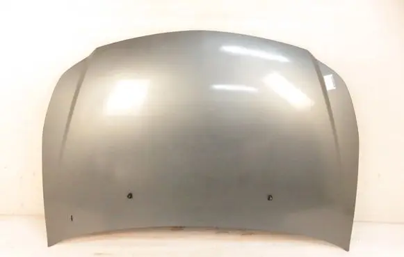 Engine bonnet/hood
