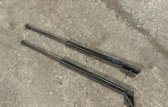 Tailgate strut
