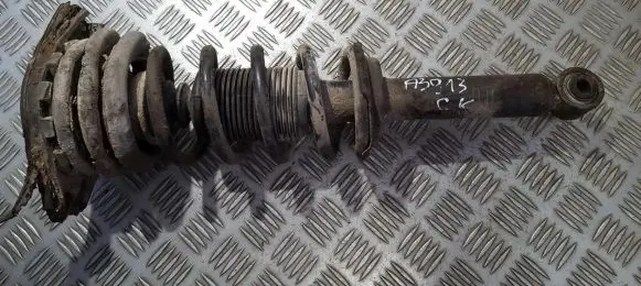 Rear shock absorber/damper