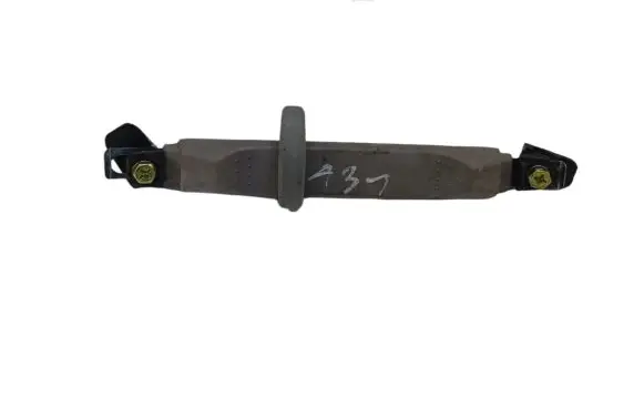 KIA Sorento Rear interior roof grab handle