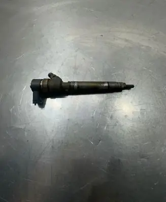 Volvo V70 Fuel injector 0445110251