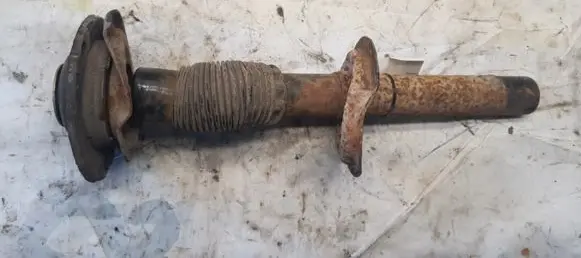 Peugeot 206 Front shock absorber/damper
