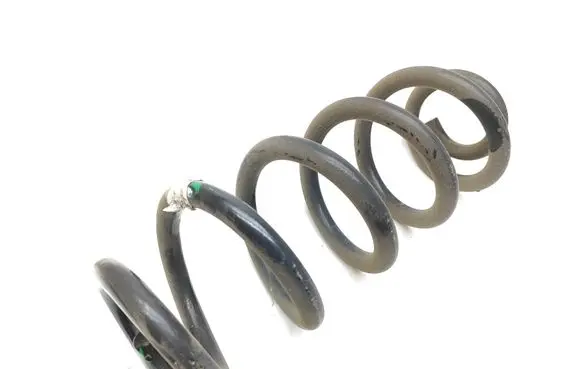Rear coil spring