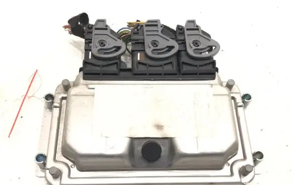 Engine control unit/module ECU