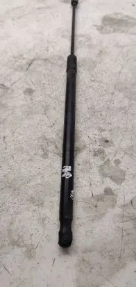 Tailgate/trunk strut/damper
