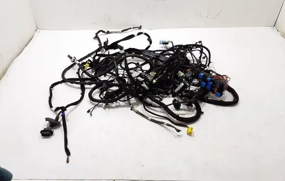 Renault Kangoo III Other wiring loom 241637661S