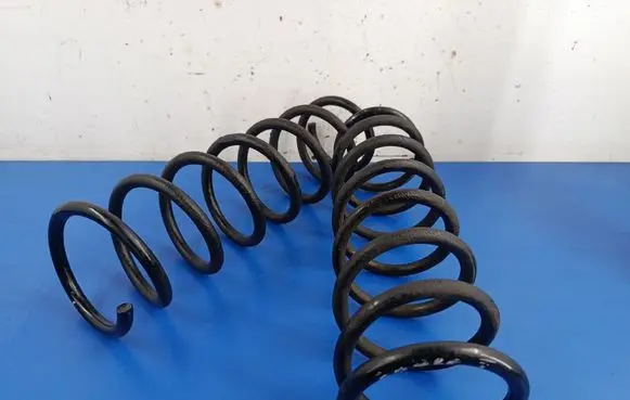 Rear coil spring