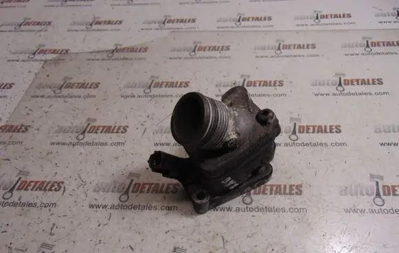 Thermostat/thermostat housing