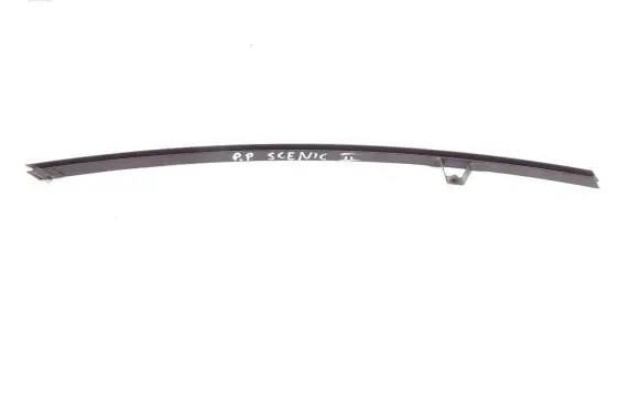 Renault Scenic II - Grand scenic II Door glass rail 