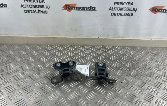Toyota RAV 4 (XA50) Front door hinge set 