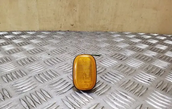 Front fender indicator light
