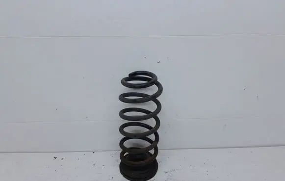 Rear coil spring